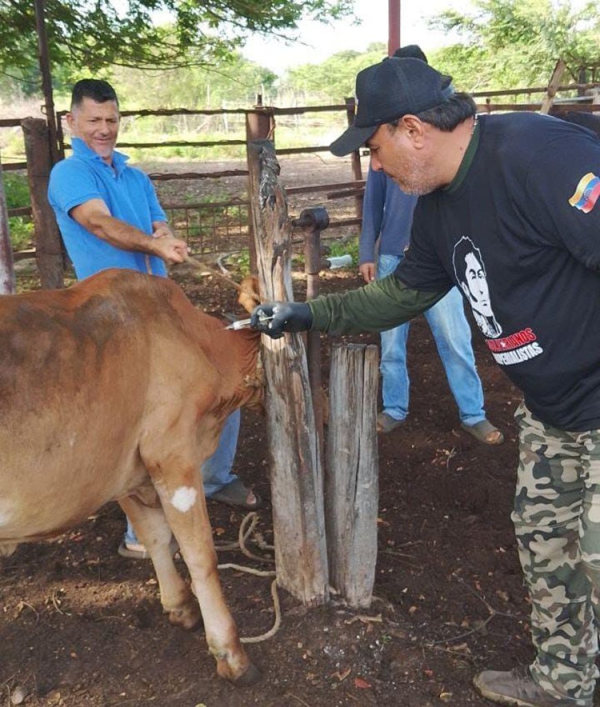 ¡Jornada exitosa! Vacunados más de 2.600 animales contra la fiebre aftosa en Maracaibo