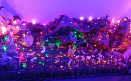 Los Andes se abrazan en Maracaibo: Cañada Honda celebra la tradicional Paradura del Niño