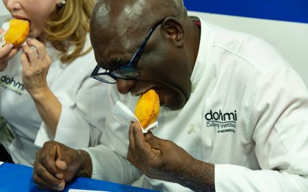 A bordo del Tranvía ¡Ruta del sabor por el mejor pastelito de papa con queso!