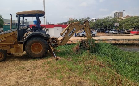 IARA recolecta en enero más de 1.690 toneladas de desechos en jornadas de limpieza