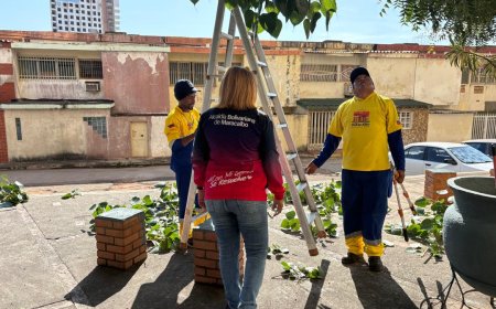 Conjunto Residencial Los Caobos recibe embellecimiento de la Alcaldía de Maracaibo