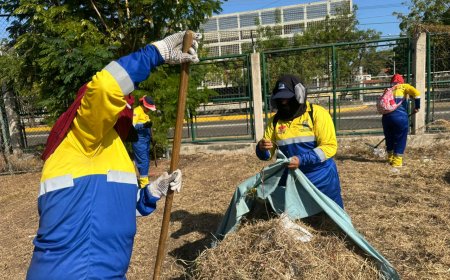 Alcaldía de Maracaibo se pone al frente en apoyo al Alma Máter