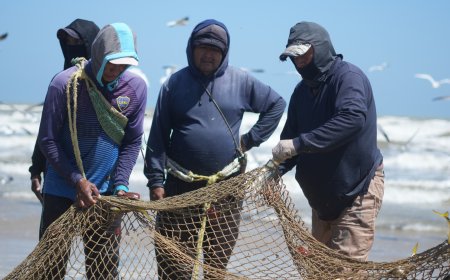 Gobierno fortalece sector pesquero con censo en el municipio Guajira