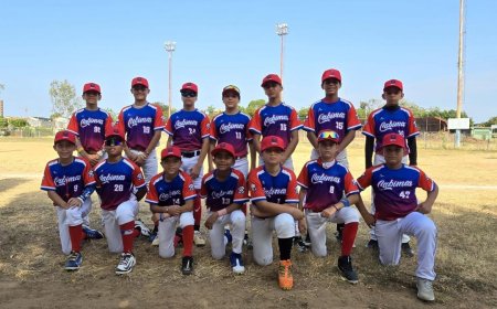 PEQUEÑAS LIGAS: Cinco equipos batallarán por el banderín regional infantil