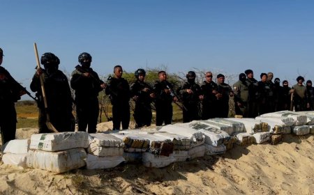 ZULIA: Incautadas en La Guajira más de 2.8 toneladas de marihuana