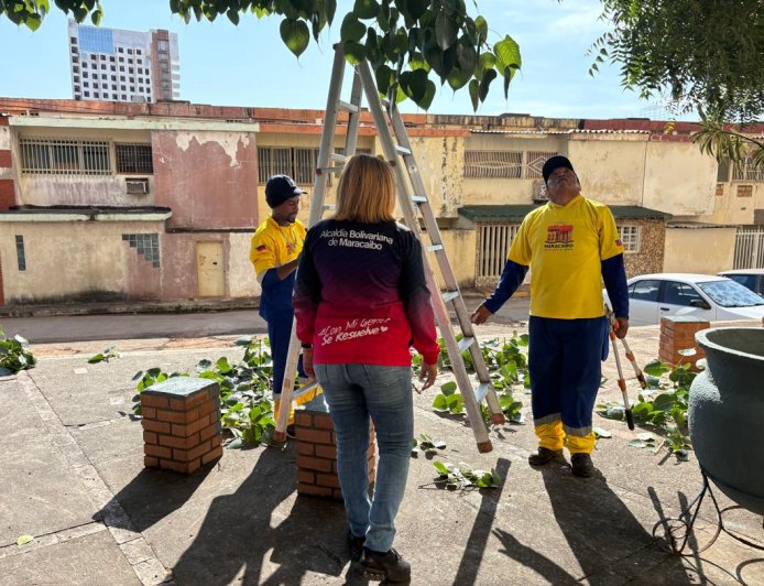 Conjunto Residencial Los Caobos recibe embellecimiento de la Alcaldía de Maracaibo