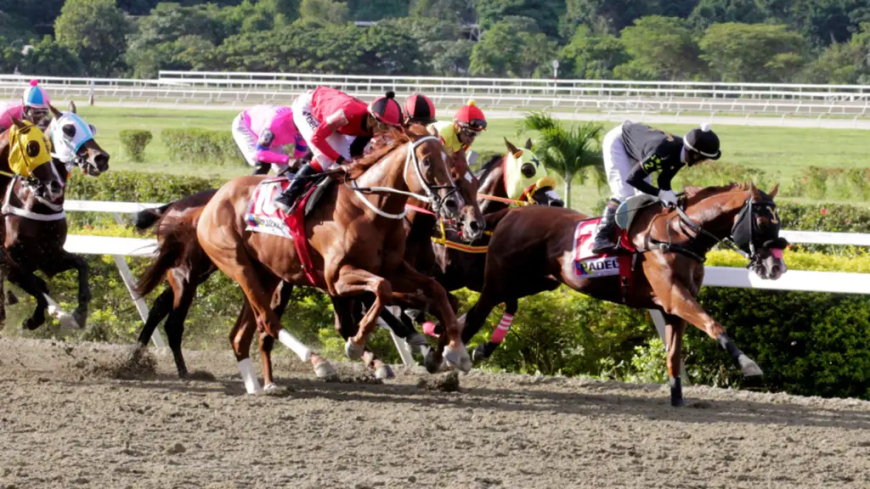 Riccardo D'Angelo y Robert Capriles ganaron 7 en La Rinconada
