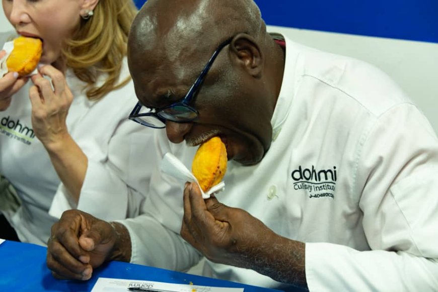 A bordo del Tranvía ¡Ruta del sabor por el mejor pastelito de papa con queso!