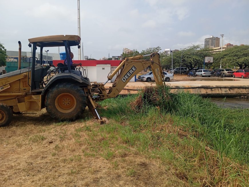 IARA recolecta en enero más de 1.690 toneladas de desechos en jornadas de limpieza