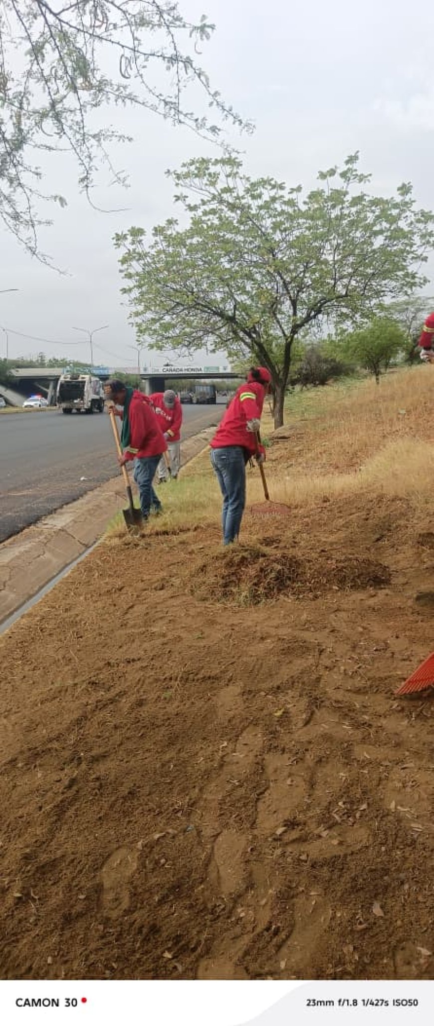 IARA recolecta en enero más de 1.690 toneladas de desechos en jornadas de limpieza