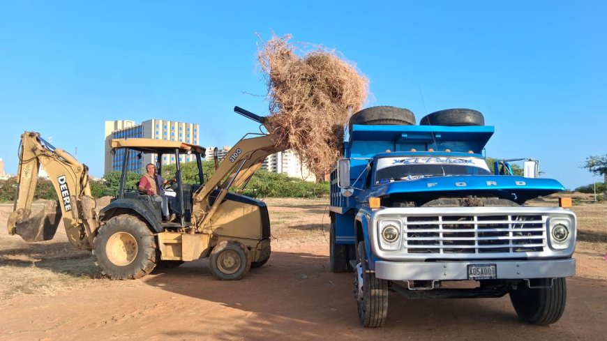 IARA recolecta en enero más de 1.690 toneladas de desechos en jornadas de limpieza