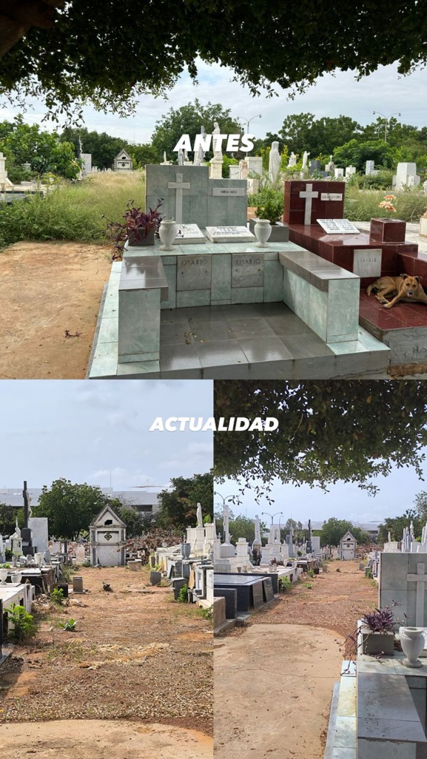 CEMENTERIO EL CUADRADO: Bastante memoria e historia de Maracaibo hay allí....que a muchos duele