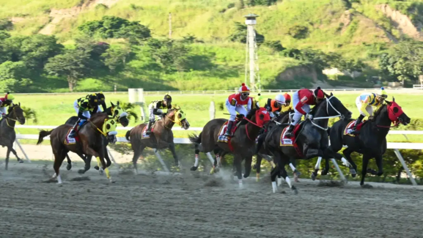 Otro récord en la jugada del 5y6