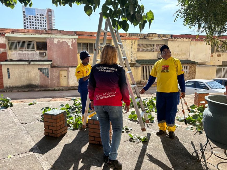 Conjunto Residencial Los Caobos recibe embellecimiento de la Alcaldía de Maracaibo