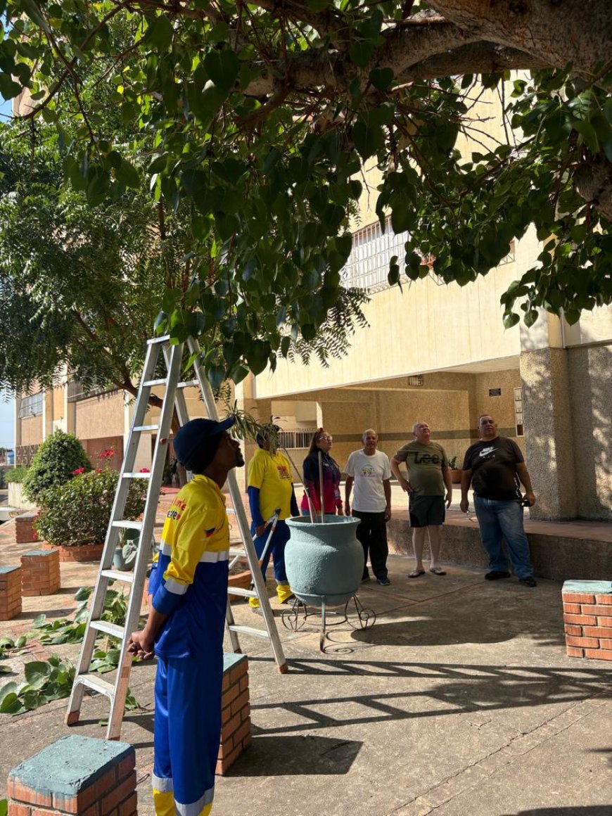 Conjunto Residencial Los Caobos recibe embellecimiento de la Alcaldía de Maracaibo