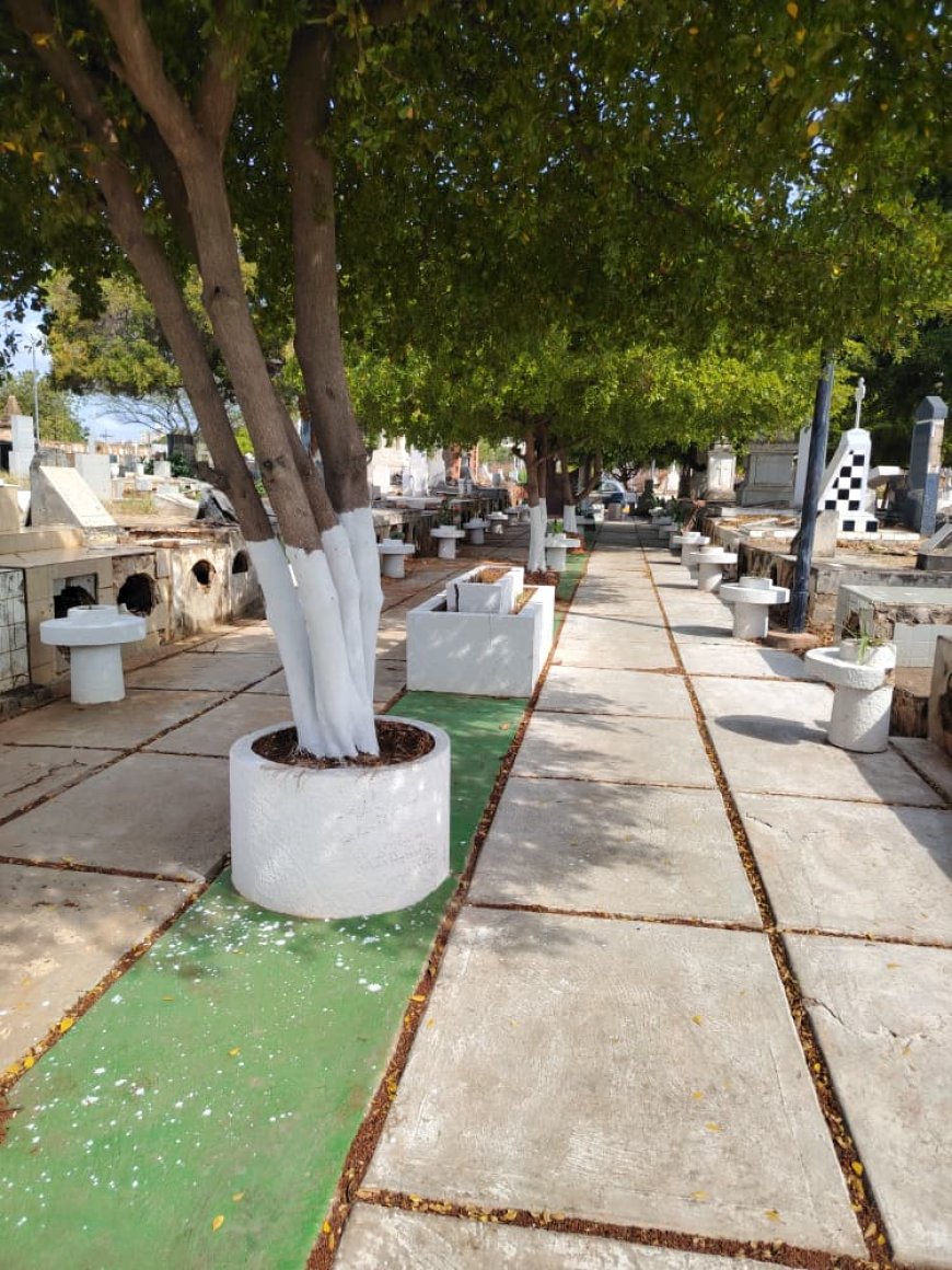 ¡Inició trabajos en agosto 2025! Alcaldía de Maracaibo ejecuta recuperación integral en el Cementerio El Cuadrado