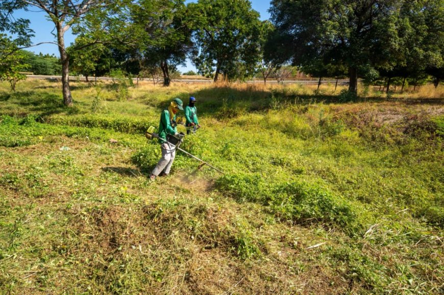 Imasur habilita línea directa para denuncias ambientales en el municipio San Francisco