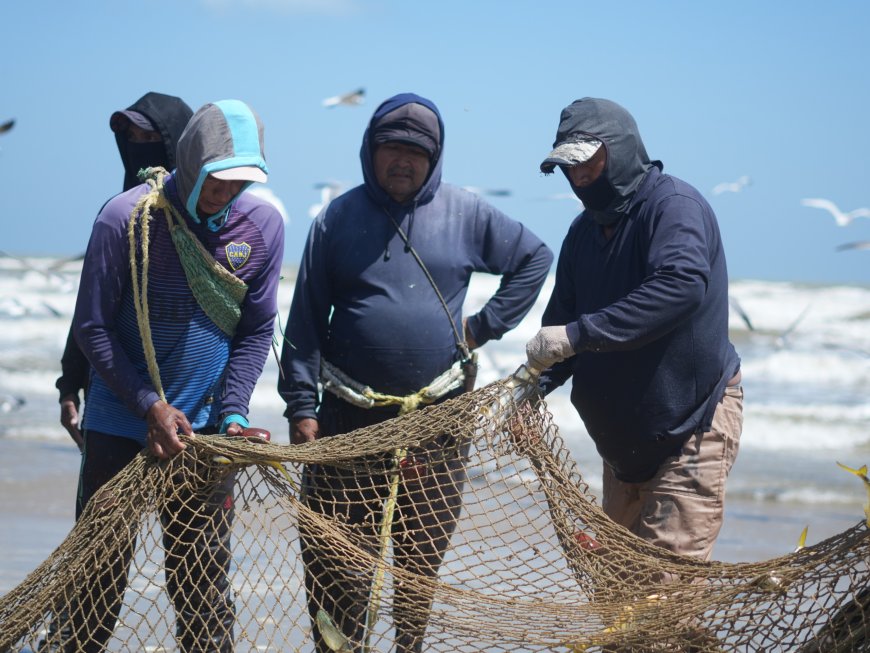 Gobierno fortalece sector pesquero con censo en el municipio Guajira