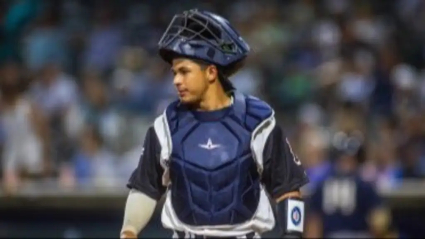 Venezolano Miguel Palma la mandó a las gradas con los Yankees