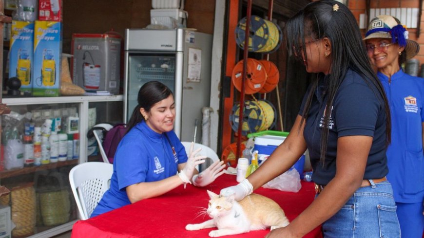 En Jornada Social del Buen Vivir atendieron a comerciantes del casco central