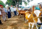 El Zulia potencia impulsa agenda de desarrollo en la Feria Agropecuaria de San José de Perijá.