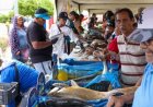 ¡Precios solidarios y productos frescos! ‎Feria del Pescado de la Alcaldía llegó a la Curva de Molina