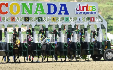 Nuevo monto récord sellado en La Rincnada