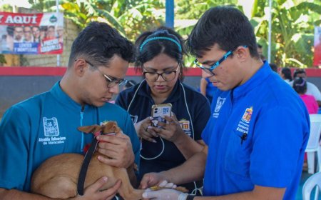 ¡El sábado 7M en Villa Carmen! Jornada de vacunación para caninos y felinos