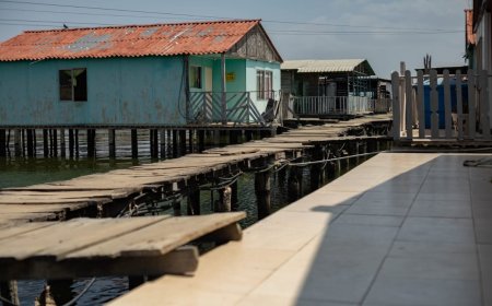 Alcaldía de Maracaibo reemplaza caminerías de madera en Santa Rosa de Agua