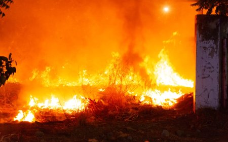 Una mano peluda sabotea, ataca, vandaliza y pretende crear anarquía en Maracaibo 