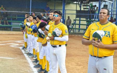 PEQUEÑAS LIGAS: Jiménez y Flor Amarillo por el título en la Final Nacional infantil