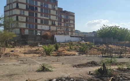 ALERTA: vuelven las invasiones