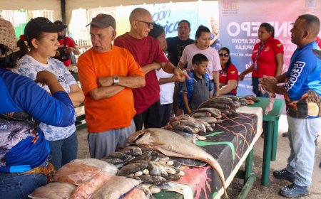 ¡También va a otras parroquias!  Aprovecha este lunes el pescadito en la Feria de la Plaza para Todos