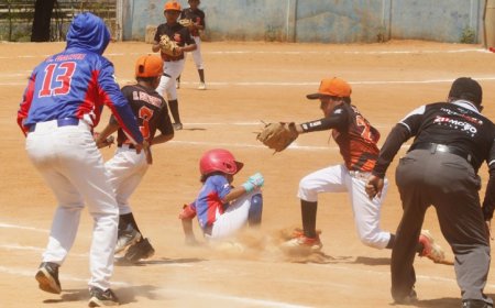 Pequeñas Ligas se alistan para la Gran Final Nacional Preinfantil en San Francisco