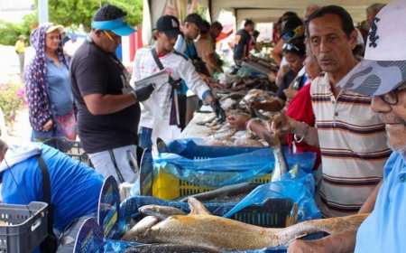 ¡Precios solidarios y productos frescos! ‎Feria del Pescado de la Alcaldía llegó a la Curva de Molina