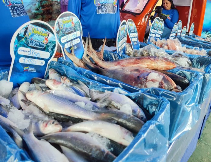 14 toneladas de alimentos en jornada integral para el pueblo de San Francisco
