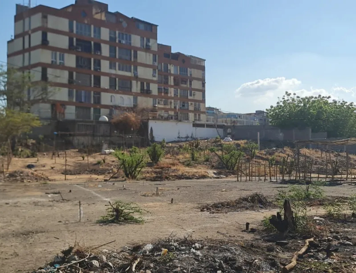 ALERTA: vuelven las invasiones