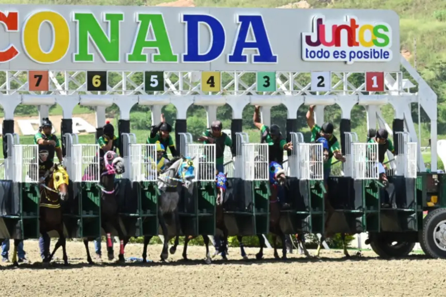 Nuevo monto récord sellado en La Rincnada