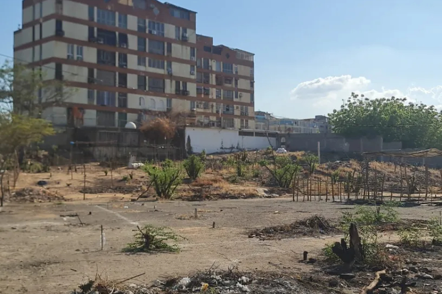 ALERTA: vuelven las invasiones