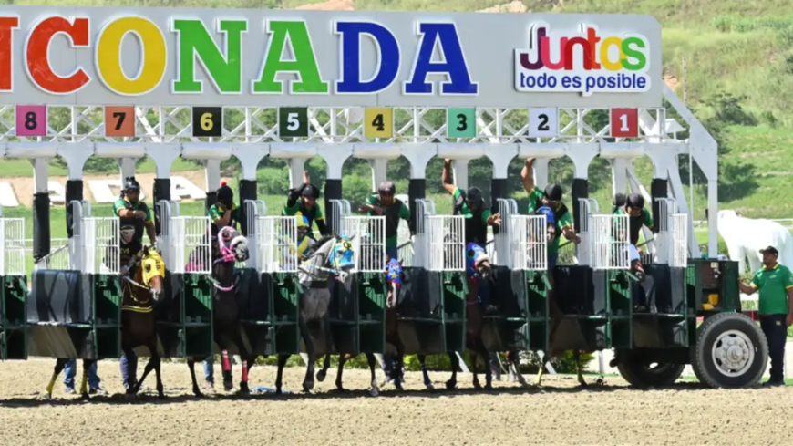 Nuevo monto récord sellado en La Rincnada