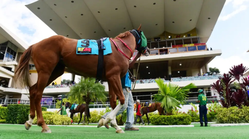Nuevo monto récord sellado en La Rincnada