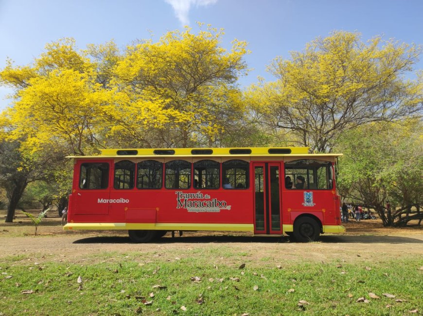 Tranvía de Maracaibo impulsa el turismo con la ruta emblemática al Jardín Botánico
