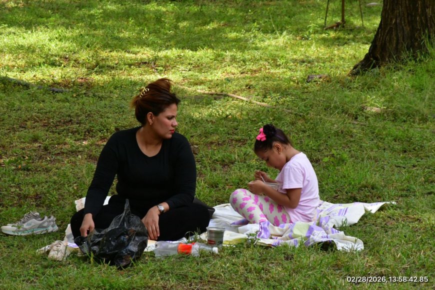 Tranvía de Maracaibo impulsa el turismo con la ruta emblemática al Jardín Botánico