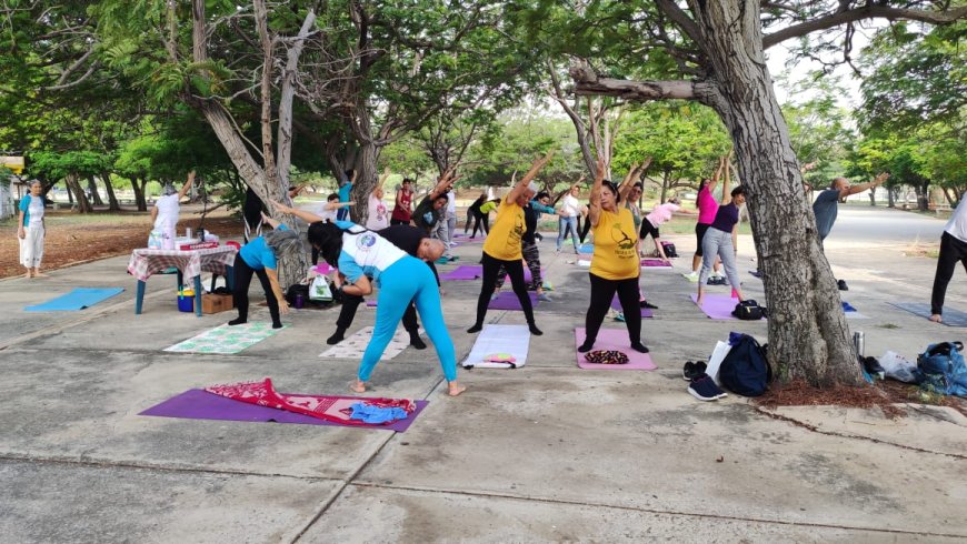 YOGA EN LA VEREDA: Alternativa a tu alcance