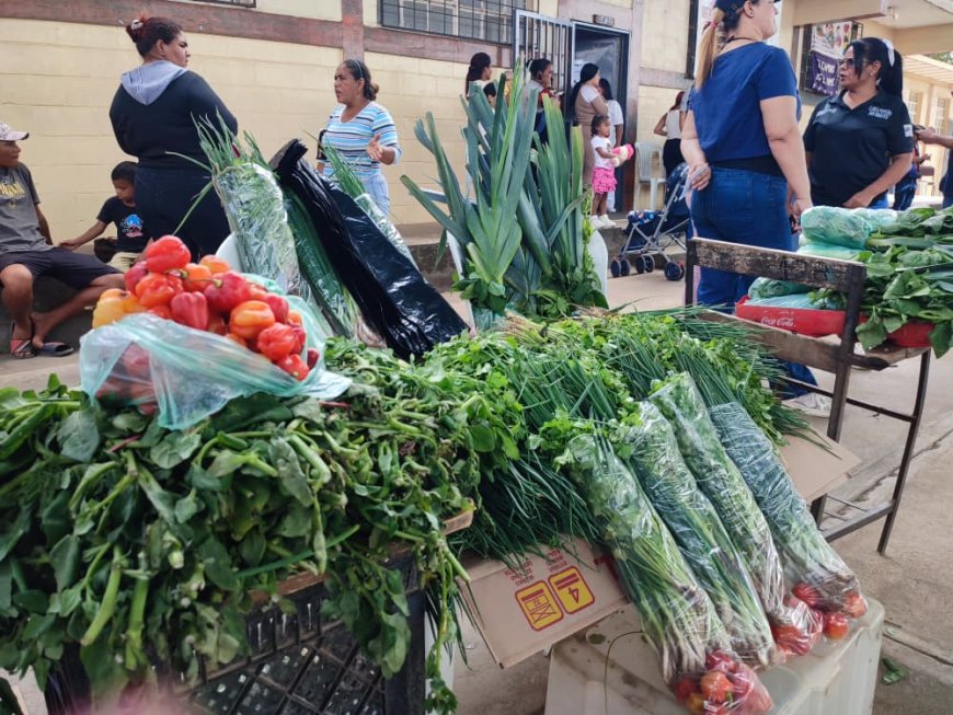 14 toneladas de alimentos en jornada integral para el pueblo de San Francisco