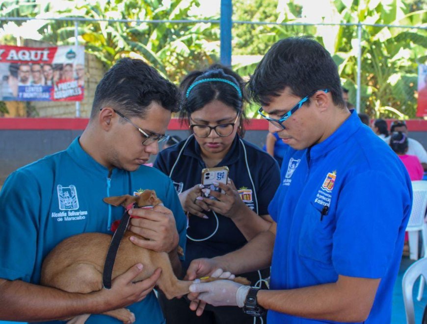 ¡El sábado 7M en Villa Carmen! Jornada de vacunación para caninos y felinos