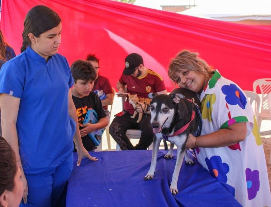 ¡El sábado 7M en Villa Carmen! Jornada de vacunación para caninos y felinos