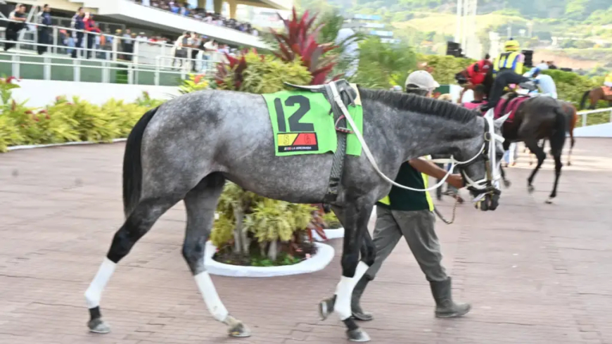 Robert Capriles el más destacado en La Rinconada