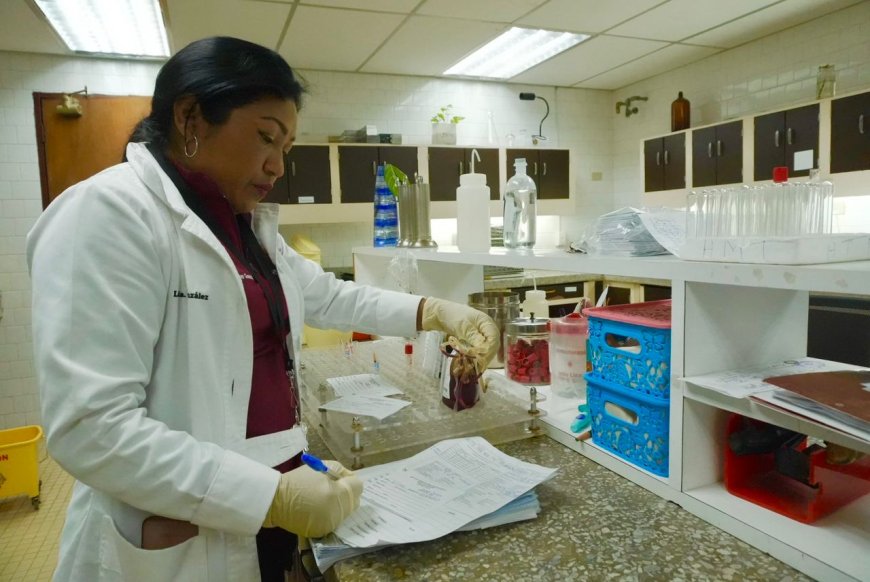 Gobernador Luis Caldera despliega Plan Cayapa de la Salud en el Banco de Sangre