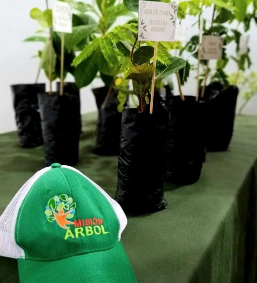 ZULIA: Gobernación impulsa la conciencia ecológica con programa “Un estudiante, un árbol”